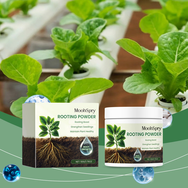 Plant Root Powder for Stronger Seedlings and Growth