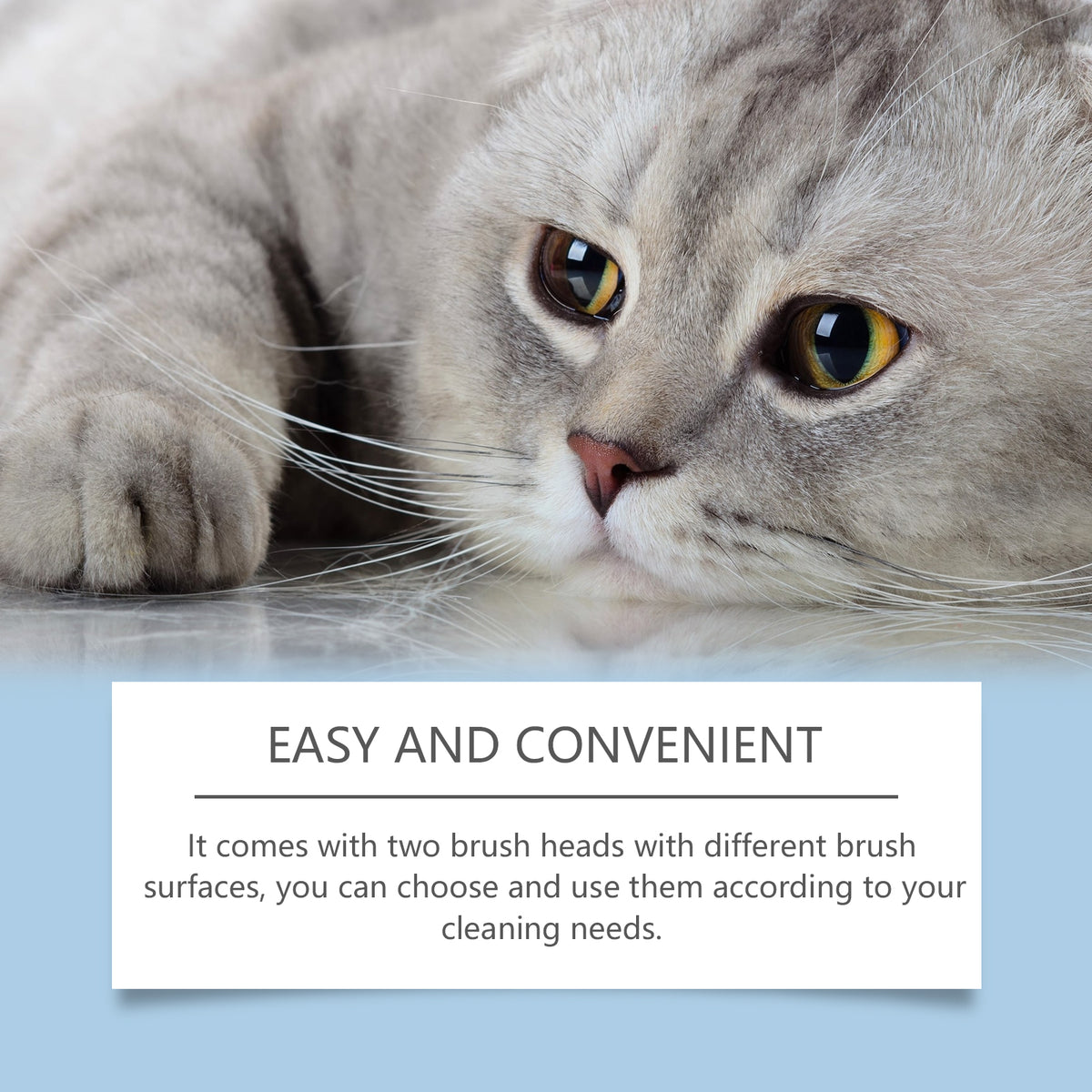 Pet Chin Cleanser Set for Gentle At-Home Grooming