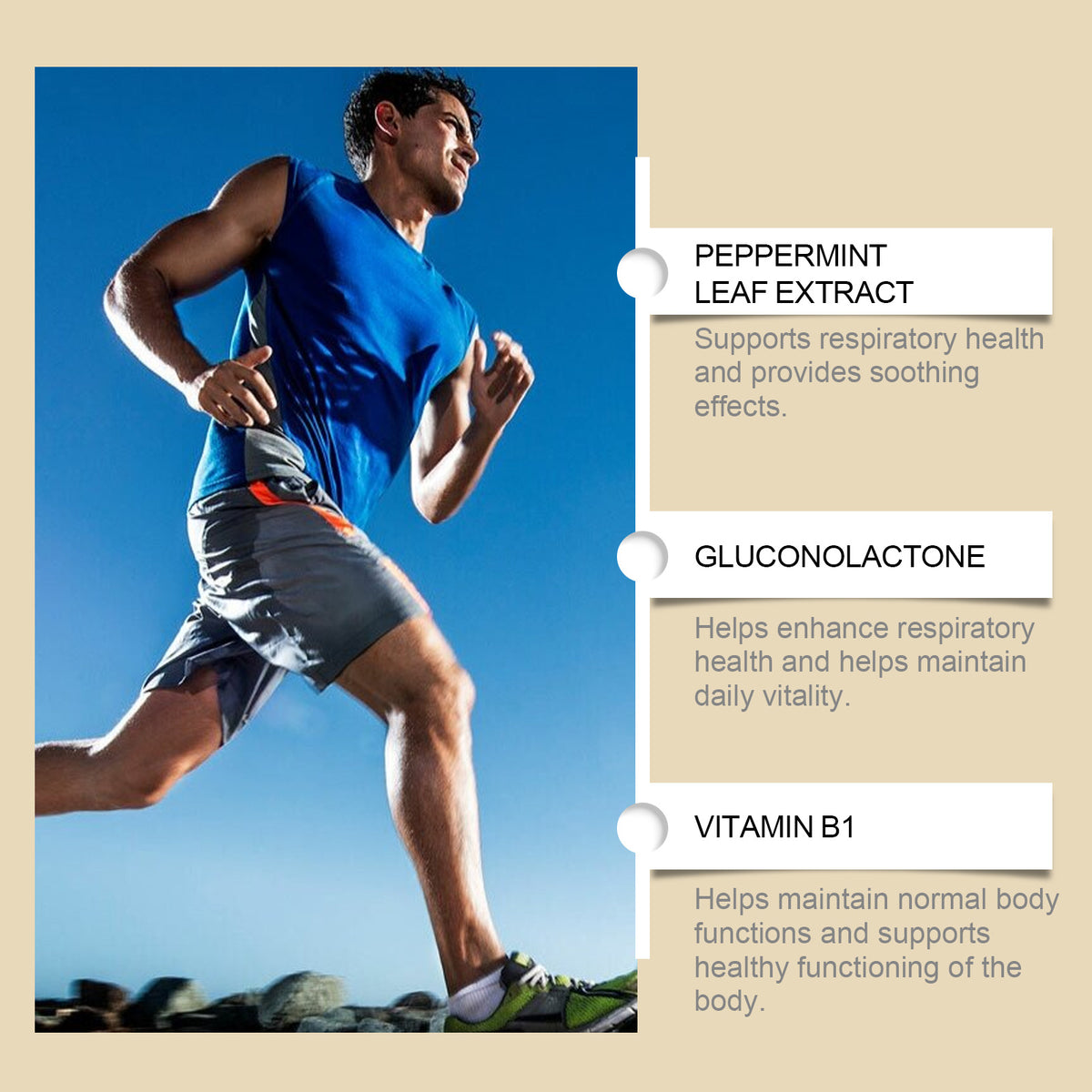 Mullein Liquid Supplement for Portable Daily Wellness