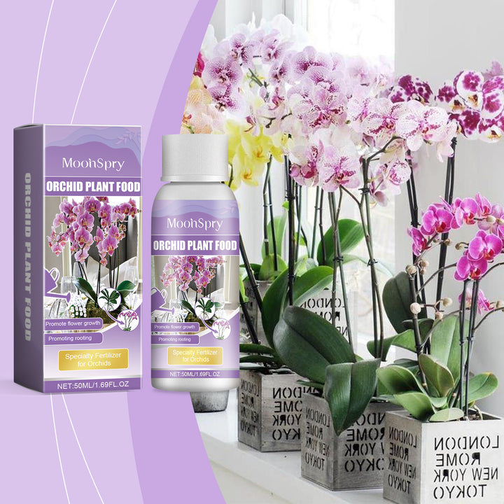 Orchid Fertilizer for Brighter Blooms & Strong Roots