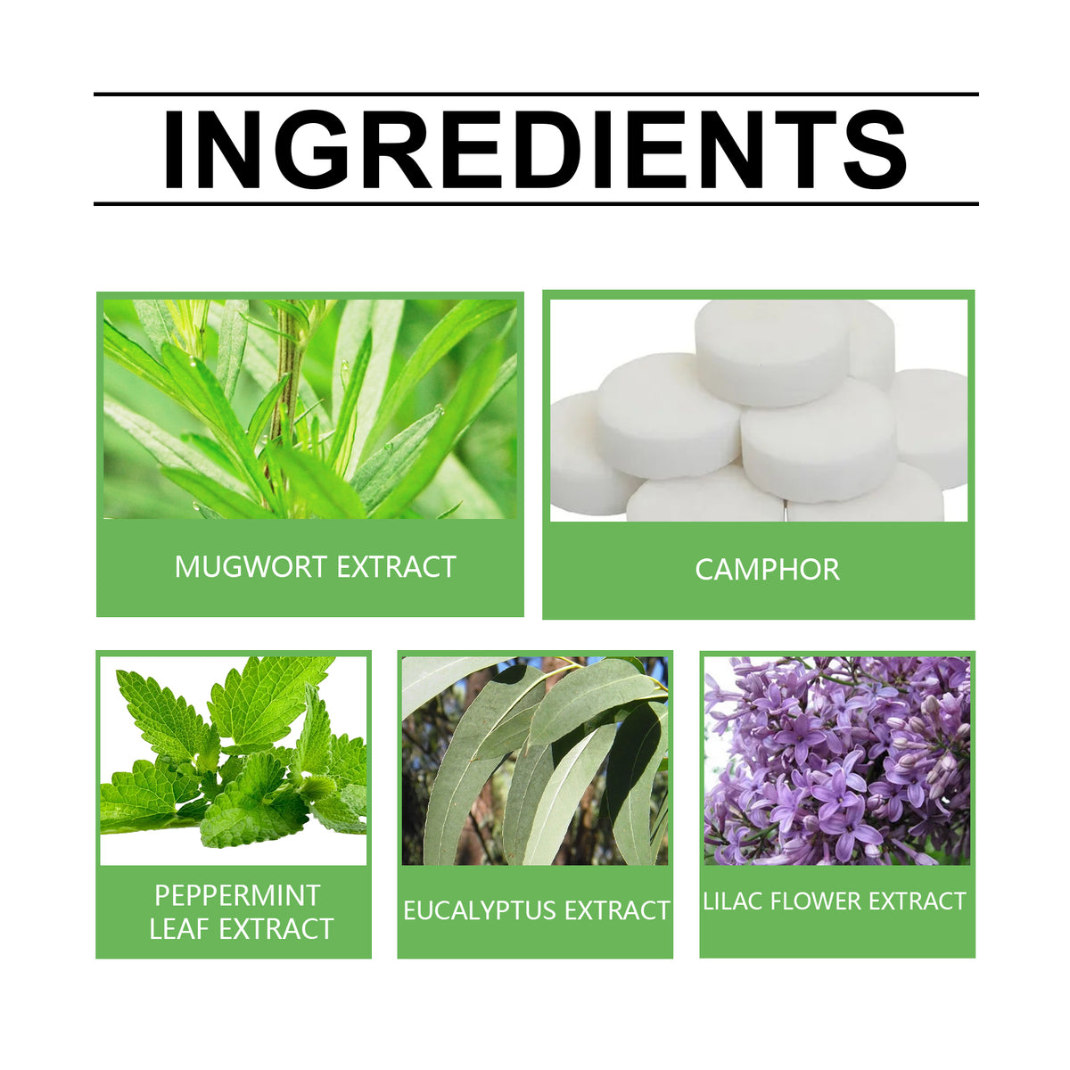 Mugwort Closet Deodorizer for 365-Day Freshness Pack