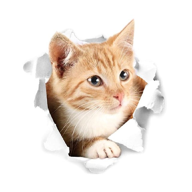 3D Cat Wall Sticker – Removable Trompe L'oeil Decal