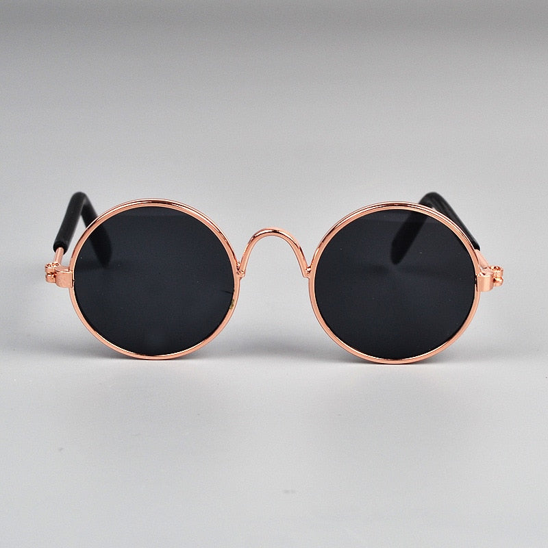 Pet Cat Glasses for Small Dogs | Playful Photo Style