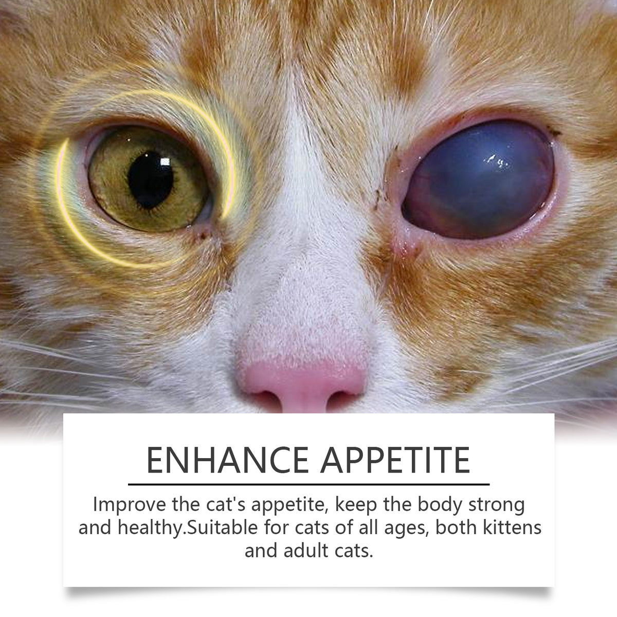 Taurine Tablets for Cats | Daily Appetite Support