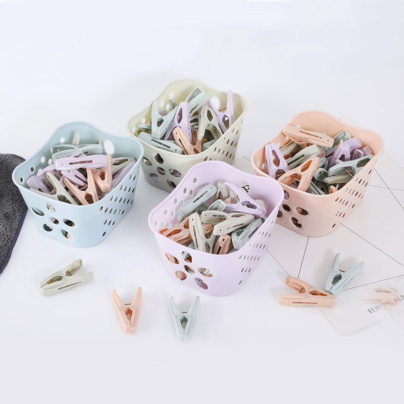 Metal Spring Laundry Clips 24 Pack With Storage Basket