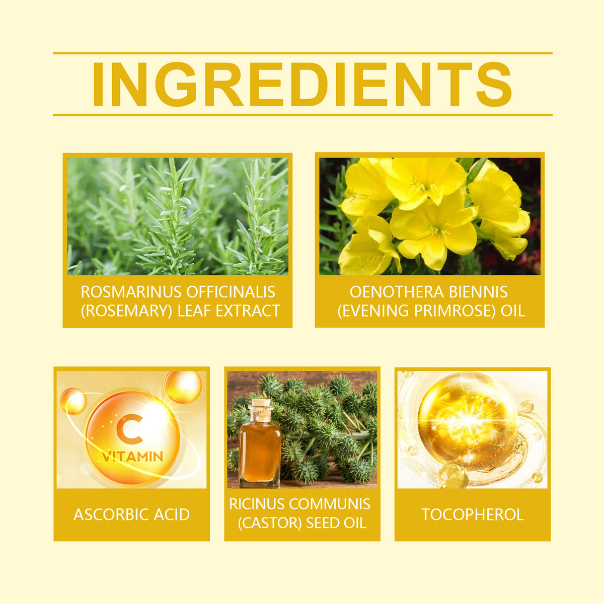 Evening Primrose Hair Oil for Lightweight Scalp Care