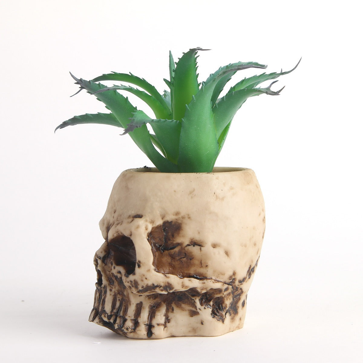 Skull Head Planter with Faux Succulent, Gothic Decor