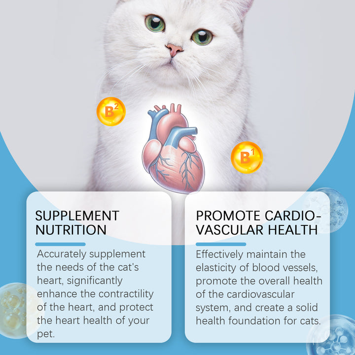 Cat CoQ10 Supplement for Heart & Cardiovascular Support