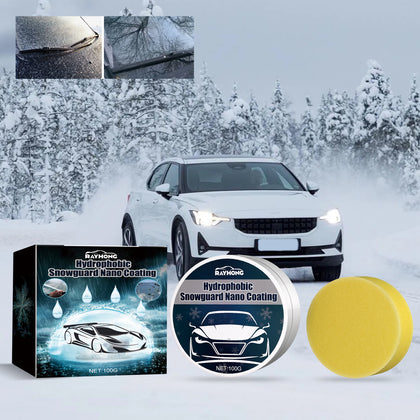 Snow Removal Tools & Equipment for Roofs and Cars