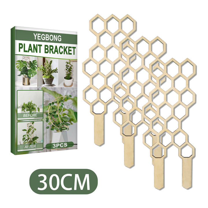 Birch Wood Trellis Set for Potted Plants, 3-Piece