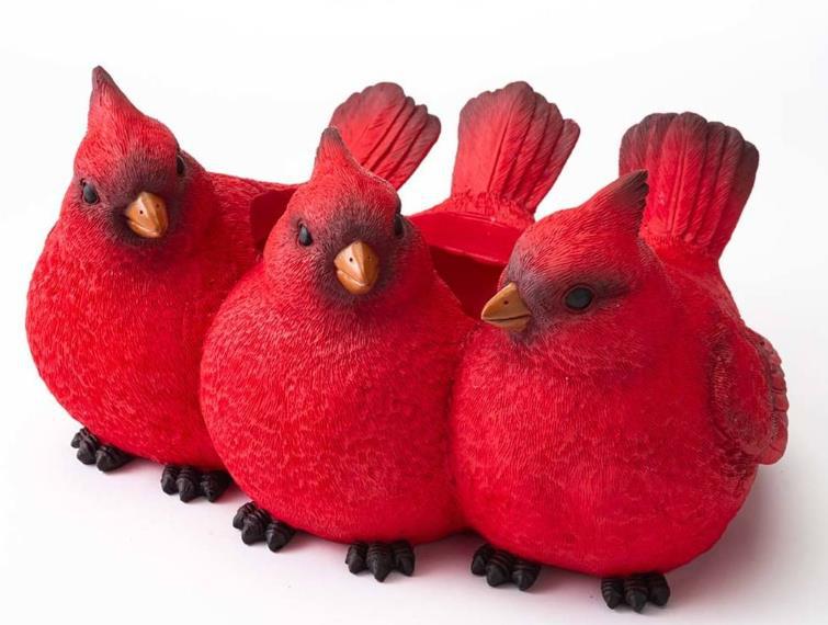 Three Cardinal Resin Planter for Porch & Balcony Decor