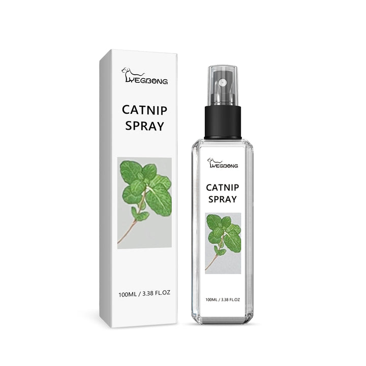 Catnip Spray for Indoor Cats: Happy Play Enrichment