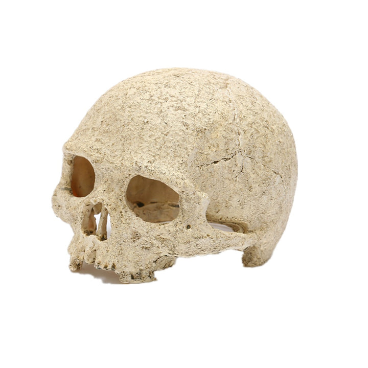 Resin Skull Aquarium Decor for Fish Tanks and Reptiles
