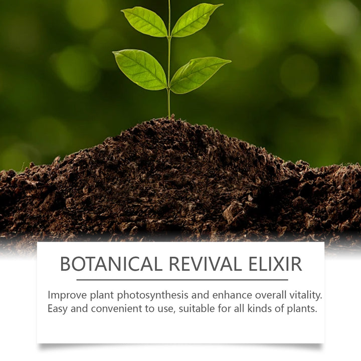 Plant Nutrient Solution for Greener, Healthier Growth