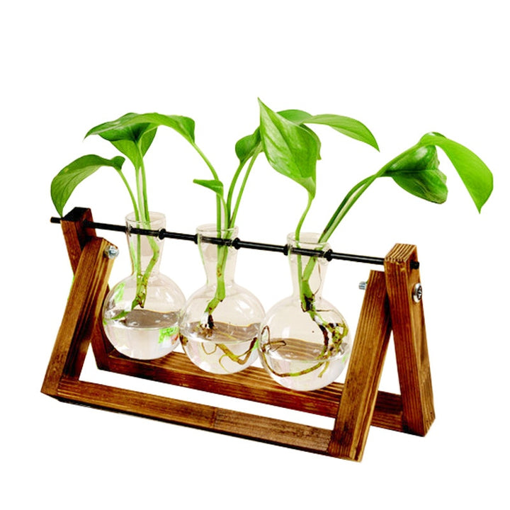 Hydroponic Glass Planter Stand for Cuttings, Wood Frame