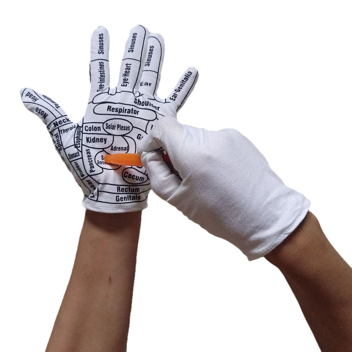 Acupoint Diagram Massage Gloves — Learn TCM Acupressure