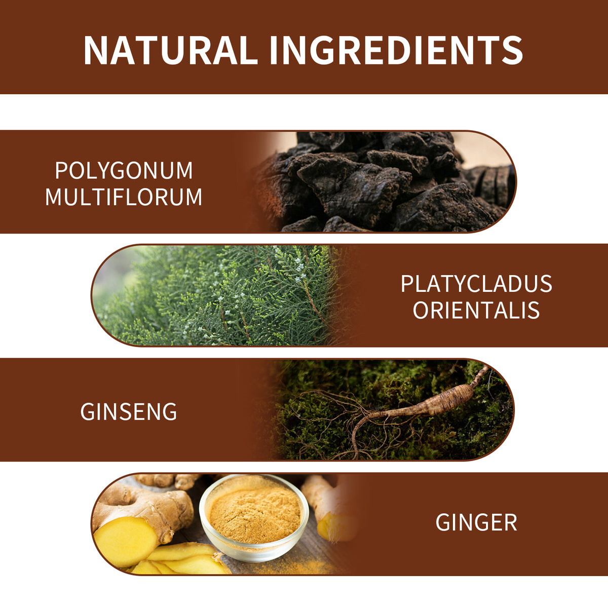 Multiflorum Repair Shampoo Bar for Gray-Looking Hair Care