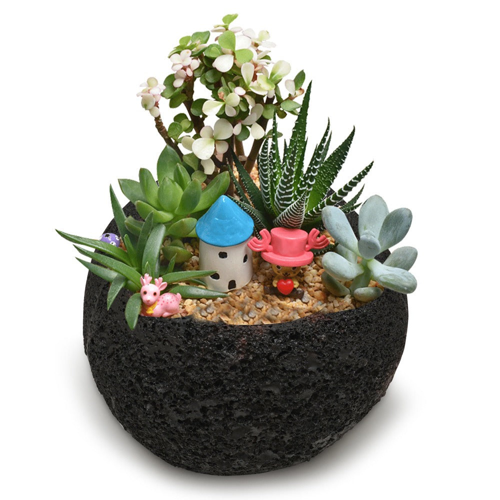 Volcanic Stone Planter Pot for Desk and Shelf Decor
