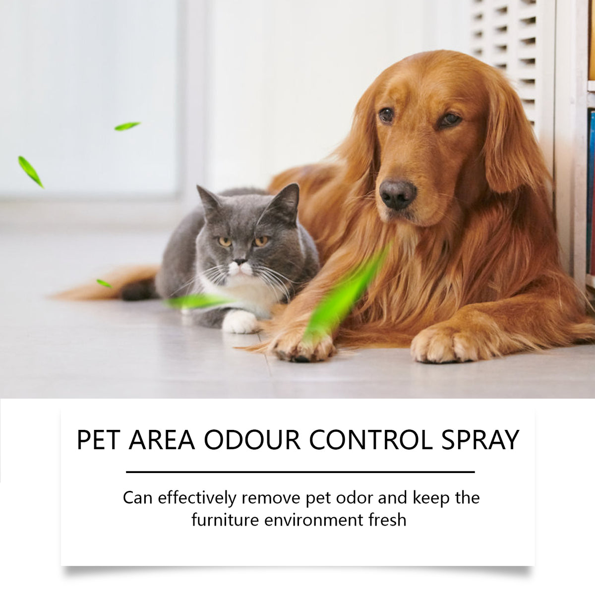 Natural Pet Odor Spray for Fresher Indoor Pet Areas