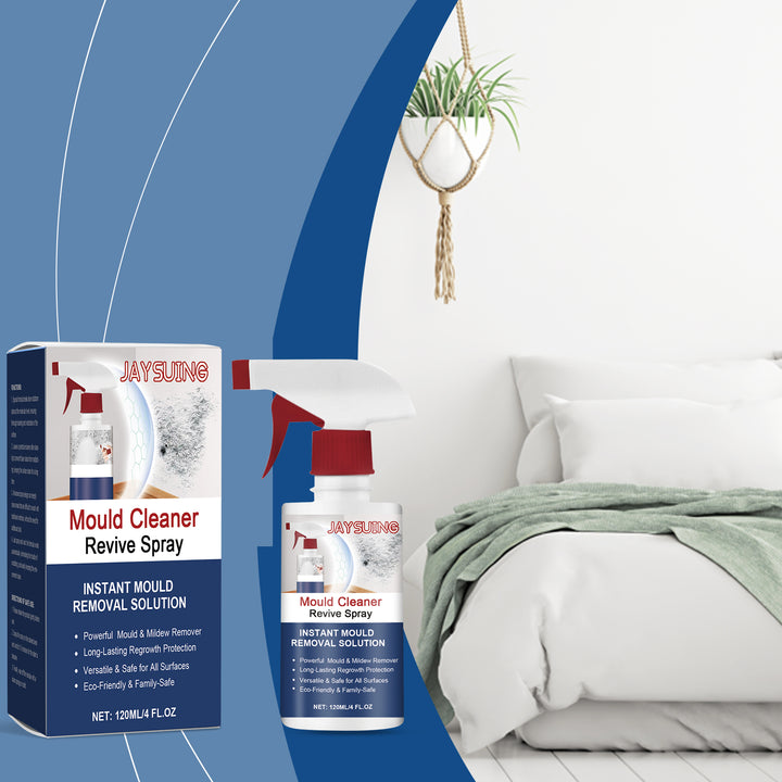 Mould Remover Spray for Walls and Musty Room Odors
