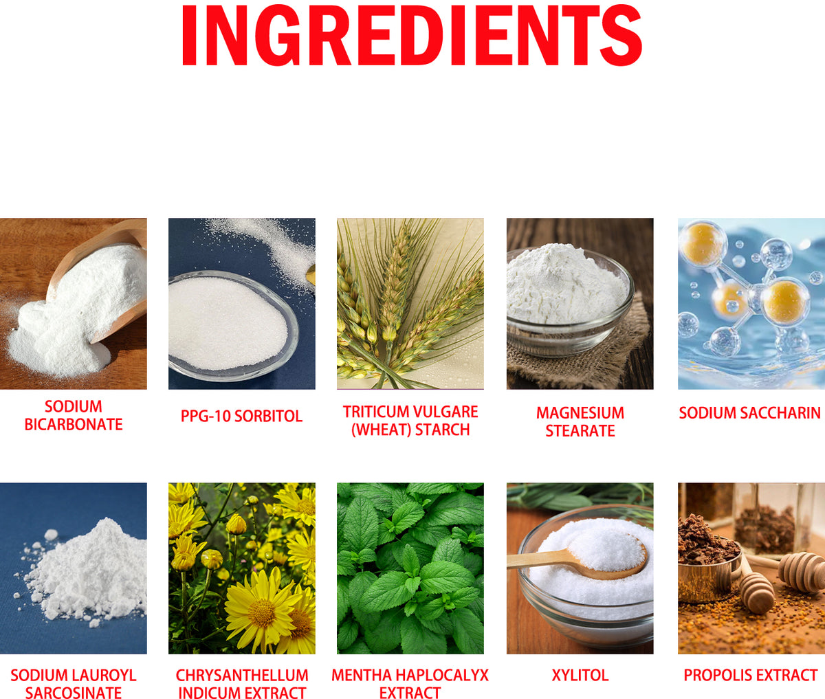 Probiotic Tooth Powder for Brighter-Looking White Teeth