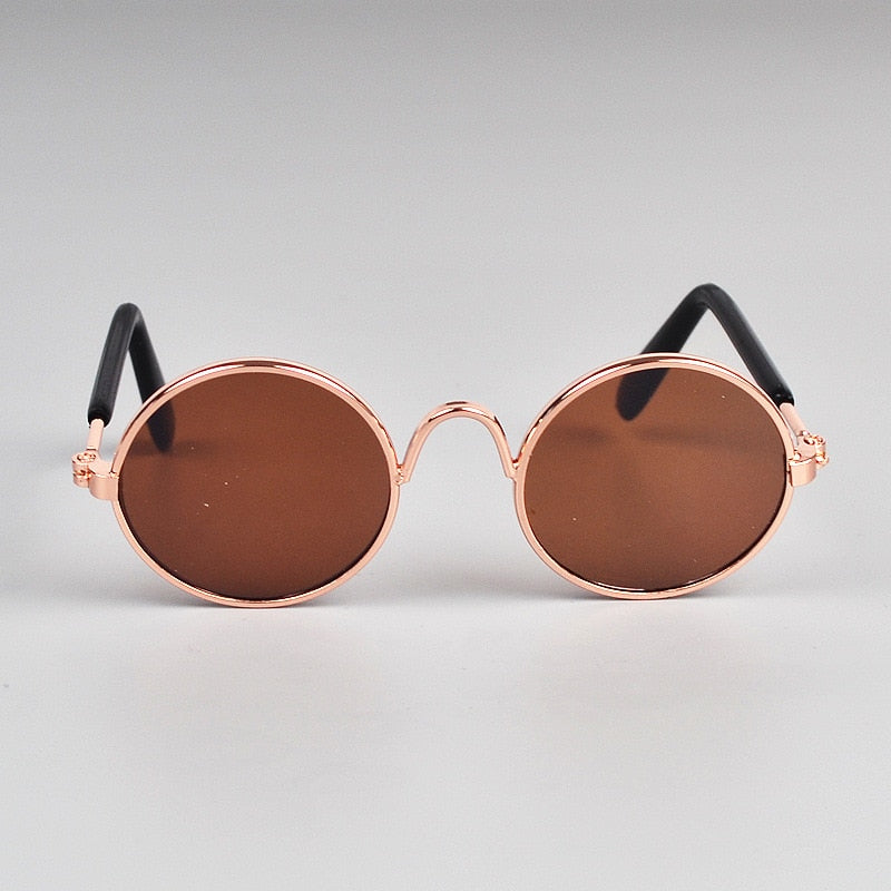 Pet Cat Glasses for Small Dogs | Playful Photo Style