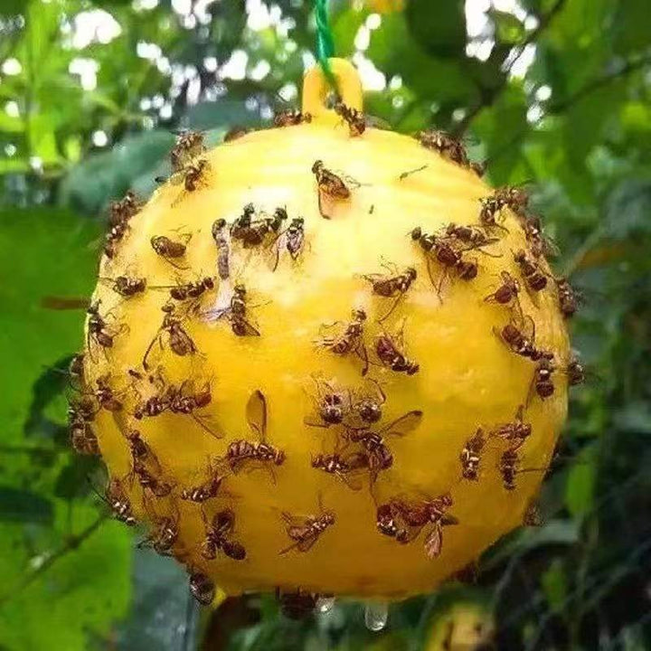 Yellow Fruit Fly Trap Balls for Gardens and Orchards