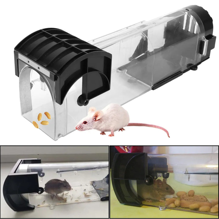 Humane Reusable Mouse Trap That Catches Mice Alive