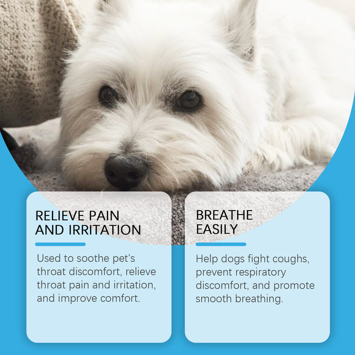 Dog Cough Support Syrup for Natural Daily Wellness