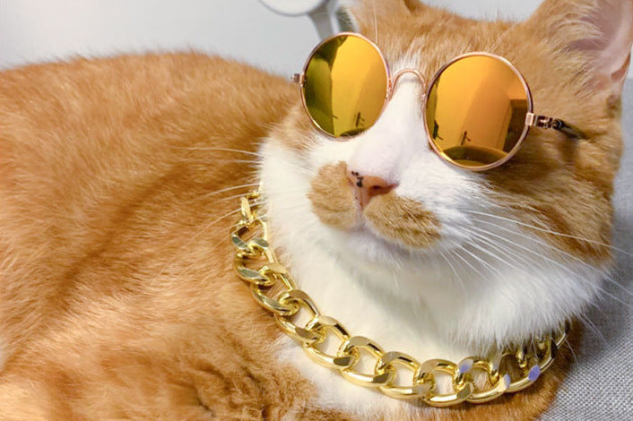 Pet Sunglasses for Dogs & Cats, Photo-Ready Fun Style