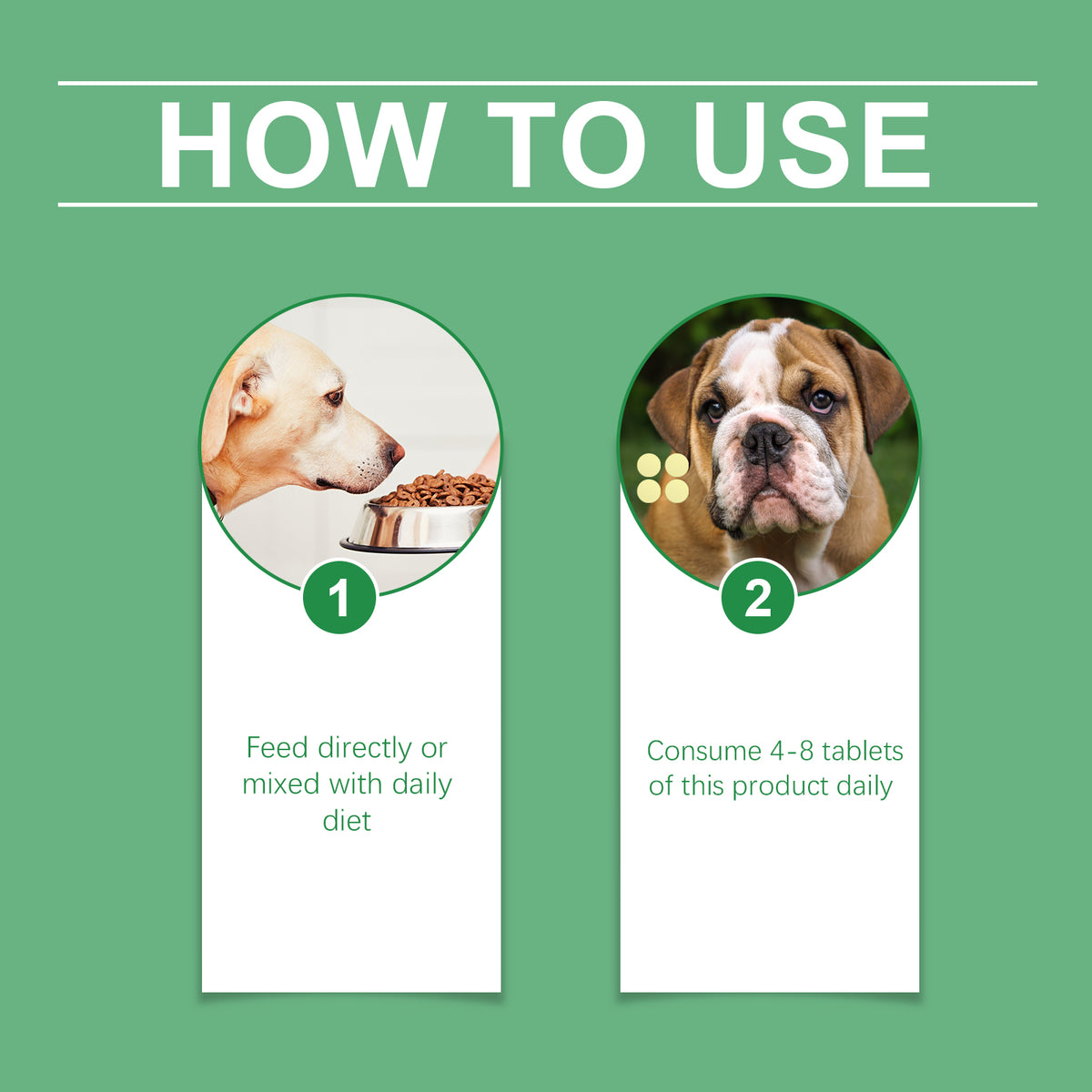 Senior Dog Vitamin Tablets for Daily Nutrition Support