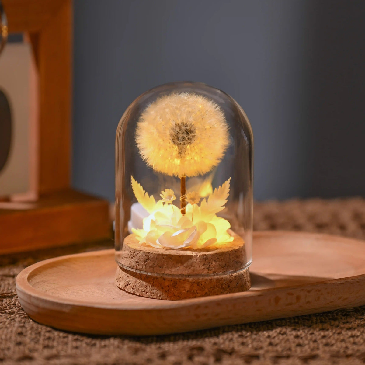 Decorative Flower Night Light With Warm Ambient Glow