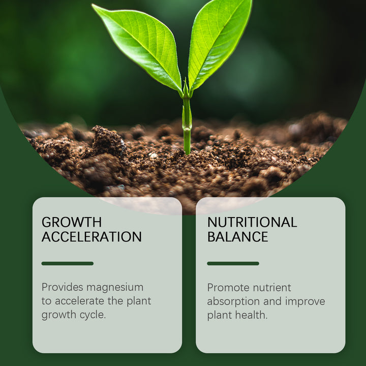 Plant Growth Nutrient Powder for Healthier Soil & Growth