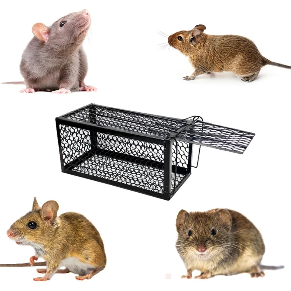 Self-Locking Live Mouse Trap Cage: Catch Mice & Rats