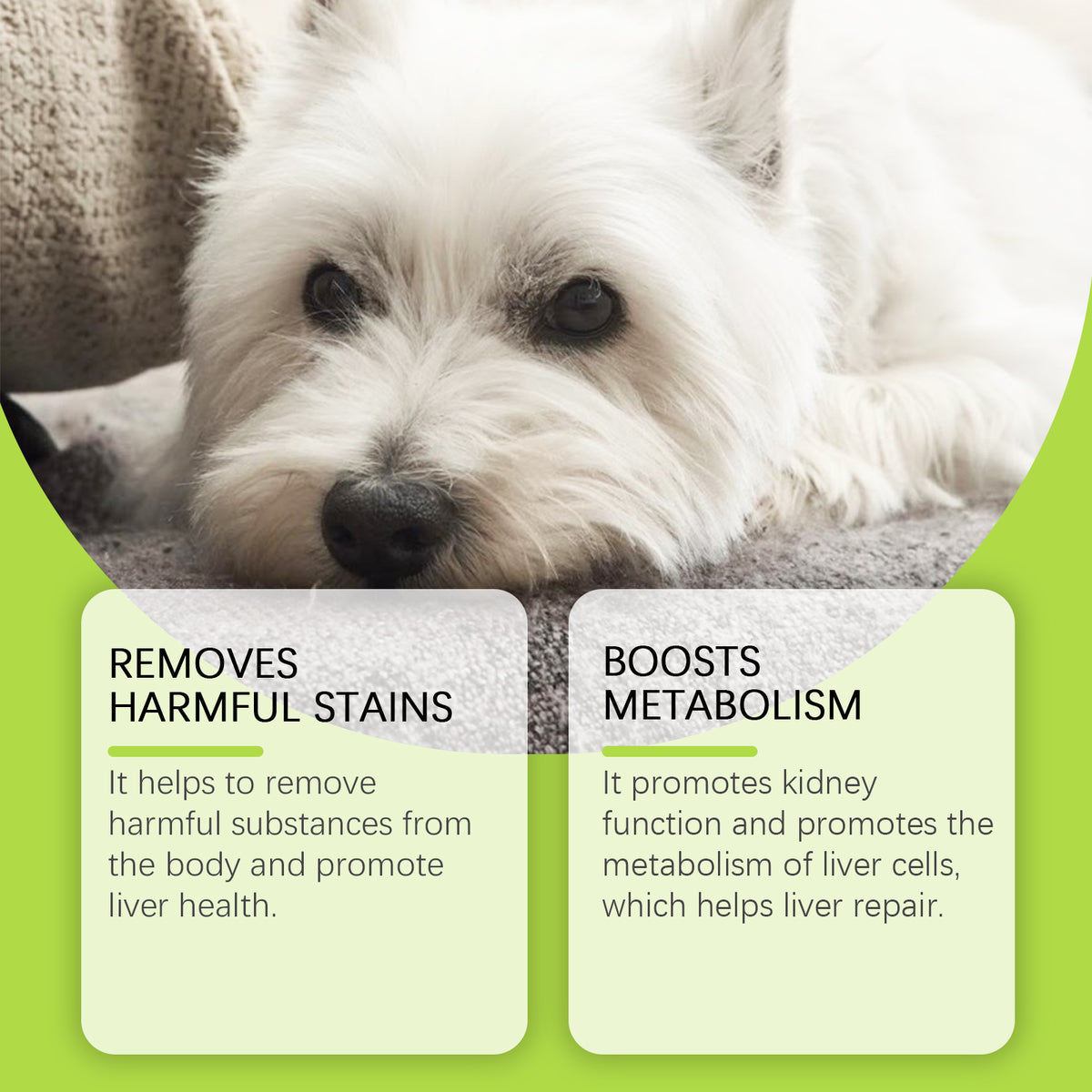 Dog Liver Support Drops With Milk Thistle Extract 60ml