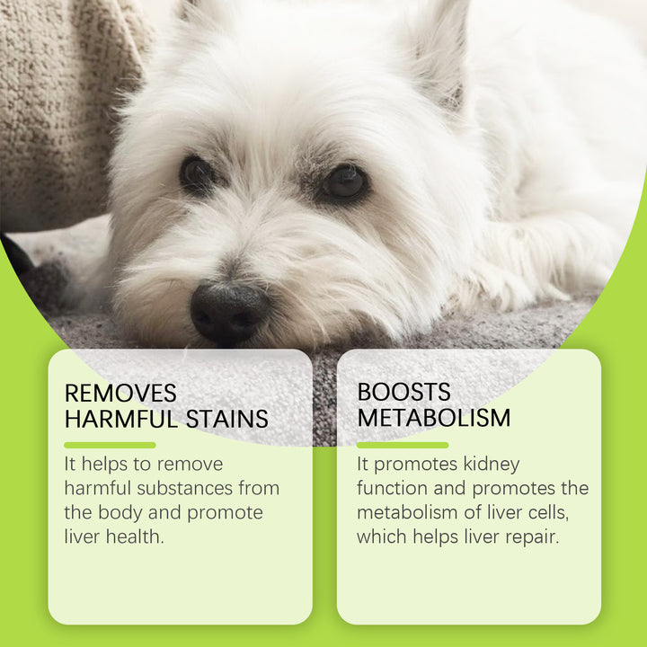 Dog Liver Support Drops With Milk Thistle Extract 60ml