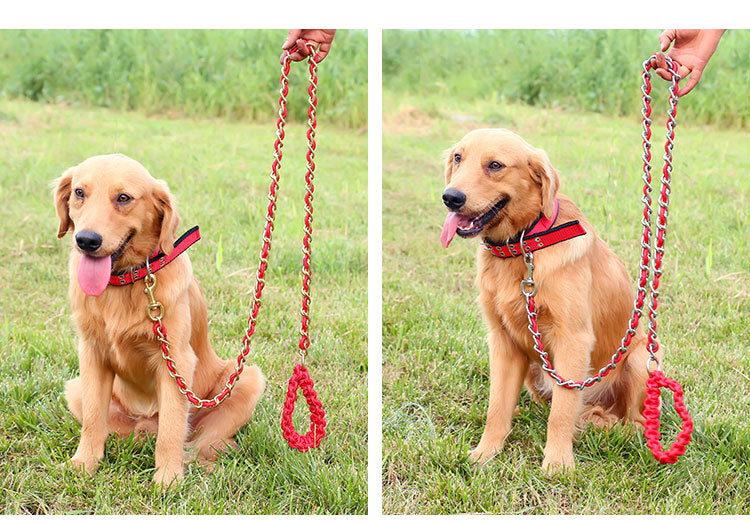 Anti-Bite Dog Leash for Large Dogs, Heavy-Duty Control