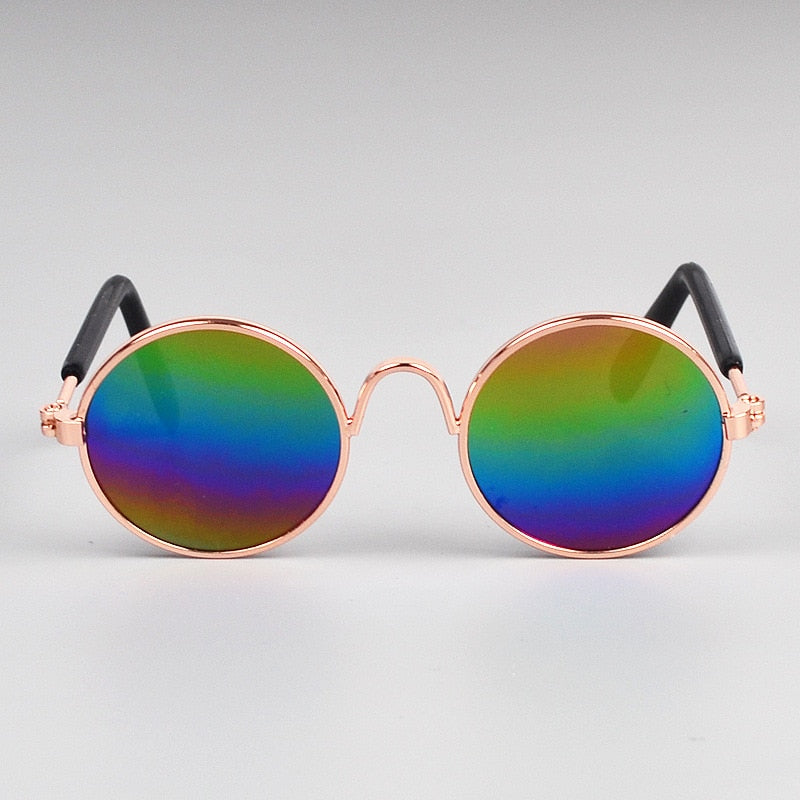 Pet Cat Glasses for Small Dogs | Playful Photo Style