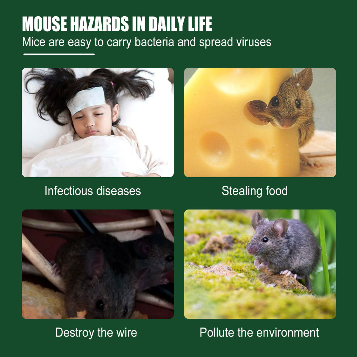 Rat Repellent Gel for Cars, Garages, Home Protection