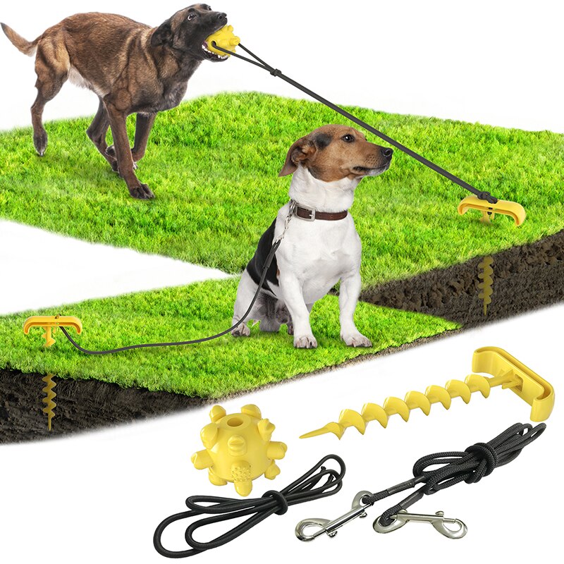 Outdoor Dog Tie-Out Stake Set for Secure Yard Play