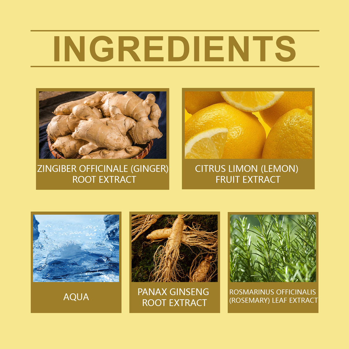 Ginger Shower Gel for Firm, Soft, Fresh-Looking Skin