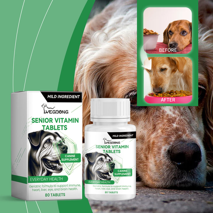 Senior Dog Vitamin Tablets for Daily Nutrition Support
