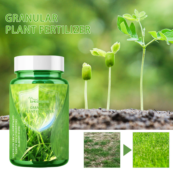 Granular Plant Fertilizer for Greener, Stronger Growth