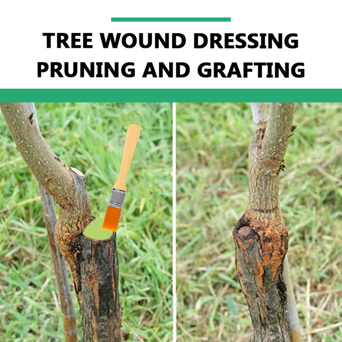 Tree Wound Sealer Paste for Pruning and Grafting Cuts
