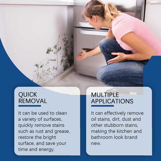 Decontamination Cleaning Spray for Stains, Oil & Mold