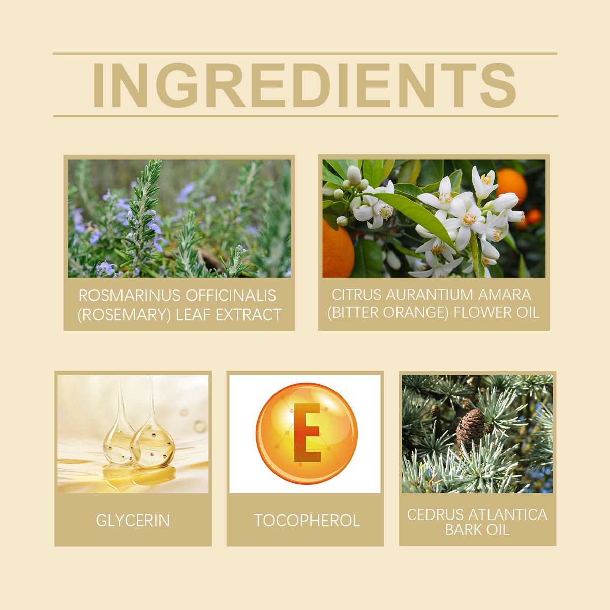 Cedarwood Essential Oil Massage Oil for Dry Skin