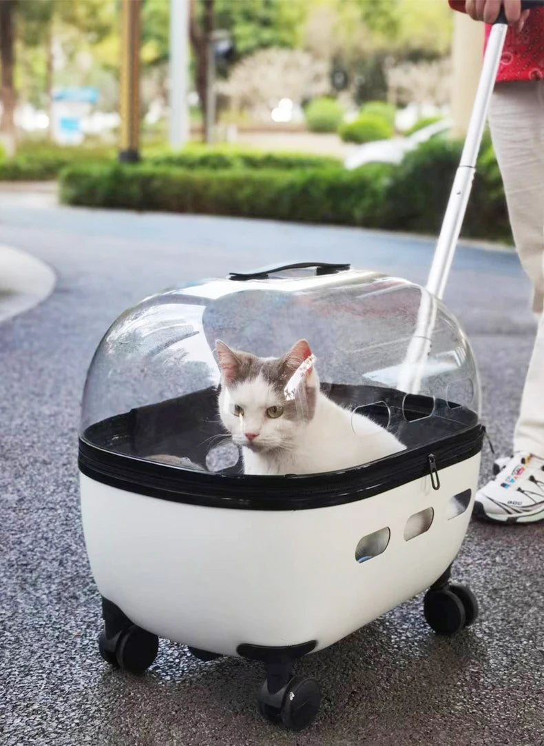 Transparent Pet Travel Carrier Stroller for Calm Outings