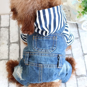 Small Dog Denim Jumpsuit With Striped Hoodie Outfit