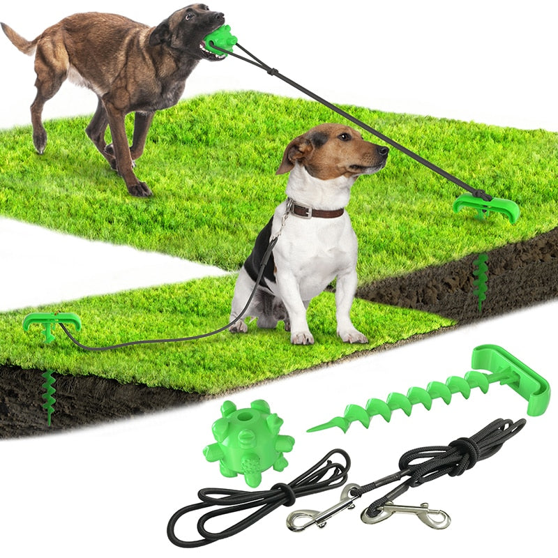 Outdoor Dog Tie-Out Stake Set for Secure Yard Play