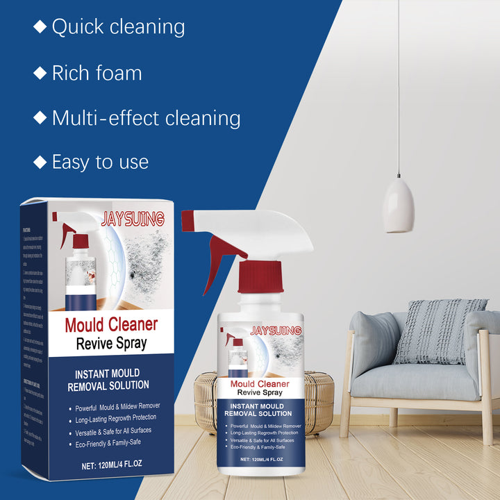 Mould Remover Spray for Walls and Musty Room Odors